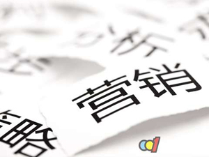 企业战略营销策划